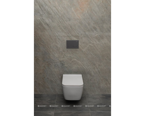 Унитаз подвесной Allen Brau Liberty 4.33007.AN антрацит