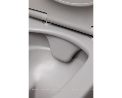 Унитаз подвесной Allen Brau Liberty 4.33007.AN антрацит