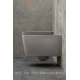 Унитаз подвесной Allen Brau Liberty 4.33007.AN антрацит