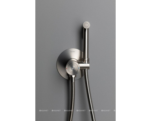 Смеситель с гигиеническим душем Allen Brau Liberty 5.33005-BN (с внутренней частью) никель браш