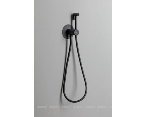 Смеситель с гигиеническим душем Allen Brau Liberty 5.33005-31 (с внутренней частью) черный матовый