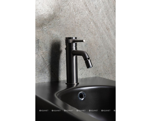 Смеситель для биде Allen Brau Priority 5.31A04-MG (с донным клапаном) графит браш