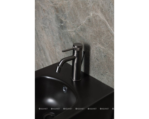 Смеситель для биде Allen Brau Priority 5.31A04-MG (с донным клапаном) графит браш