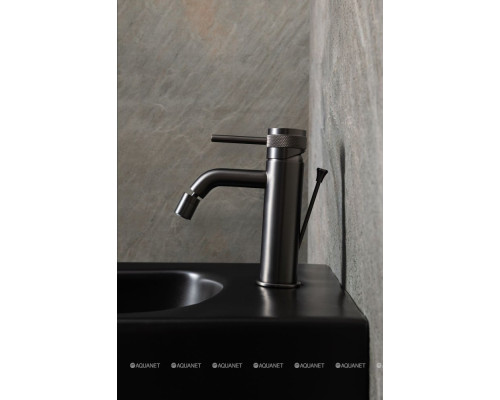 Смеситель для биде Allen Brau Priority 5.31A04-MG (с донным клапаном) графит браш