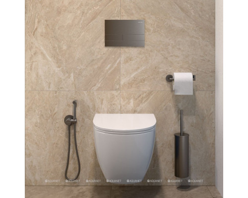 Смеситель с гигиеническим душем Allen Brau Priority 5.31A29-MG (с внутренней частью) графит браш