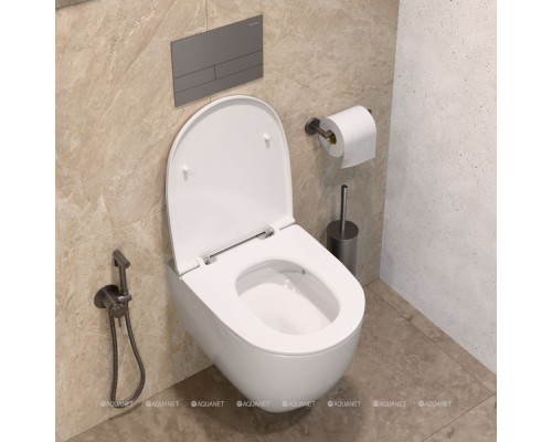 Смеситель с гигиеническим душем Allen Brau Priority 5.31A29-MG (с внутренней частью) графит браш