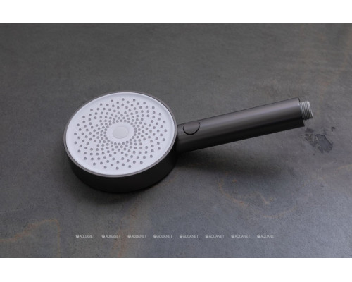 Душевая лейка Allen Brau Priority 5.31B20-MG графит браш