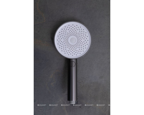 Душевая лейка Allen Brau Priority 5.31B20-MG графит браш