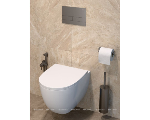 Ершик для унитаза Allen Brau Priority 6.31A09-MG графит браш