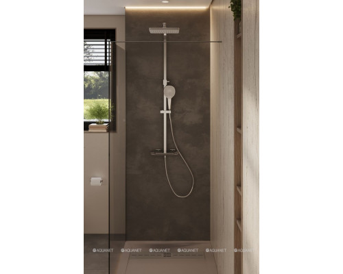 Душевая перегородка Allen Brau Infinity 1 100 3.21013.BA серебро браш