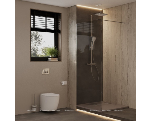 Душевая перегородка Allen Brau Infinity 1 100 3.21013.BA серебро браш