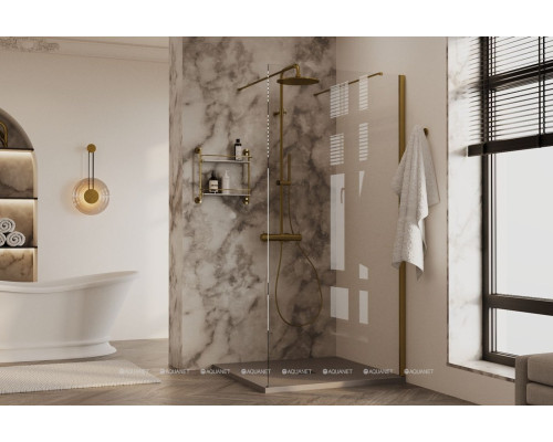 Душевая перегородка Allen Brau Infinity 2 100 3.21042.60.T медь браш