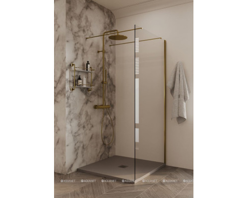 Душевая перегородка Allen Brau Infinity 2 120 3.21044.BA.T серебро браш