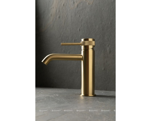 Смеситель для раковины Allen Brau Priority 5.31A01-GB золото