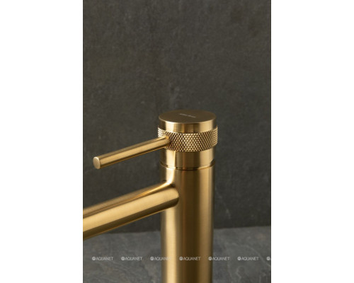 Смеситель для раковины Allen Brau Priority 5.31A01-GB золото