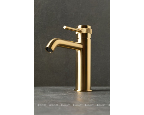 Смеситель для раковины Allen Brau Priority 5.31A01-GB золото