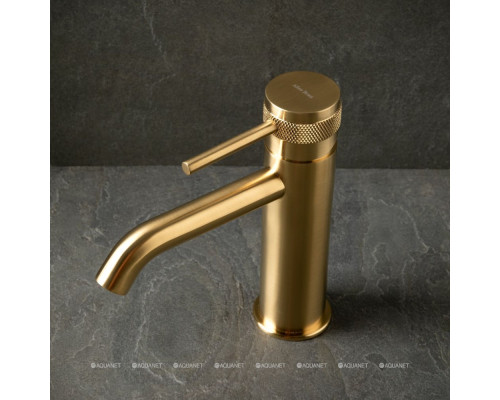 Смеситель для раковины Allen Brau Priority 5.31A01-GB золото