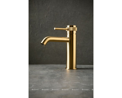 Смеситель для раковины Allen Brau Priority 5.31A01-GB золото