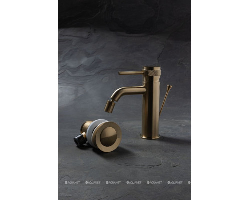 Смеситель для биде Allen Brau Priority 5.31A04-GB (с донным клапаном) золото