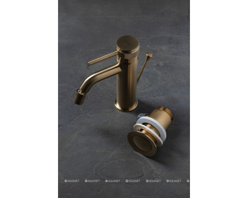 Смеситель для биде Allen Brau Priority 5.31A04-GB (с донным клапаном) золото