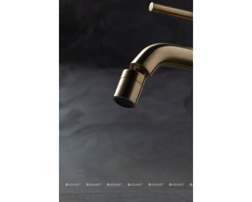 Смеситель для биде Allen Brau Priority 5.31A04-GB (с донным клапаном) золото