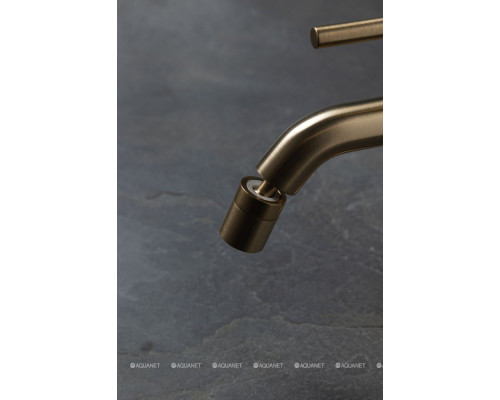 Смеситель для биде Allen Brau Priority 5.31A04-GB (с донным клапаном) золото