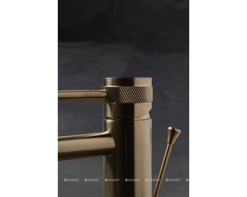 Смеситель для биде Allen Brau Priority 5.31A04-GB (с донным клапаном) золото