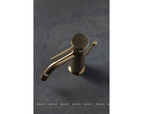 Смеситель для биде Allen Brau Priority 5.31A04-GB (с донным клапаном) золото