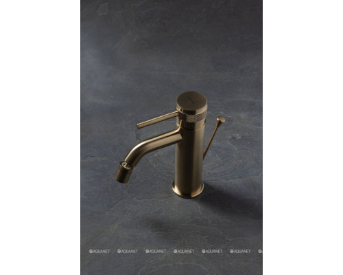 Смеситель для биде Allen Brau Priority 5.31A04-GB (с донным клапаном) золото