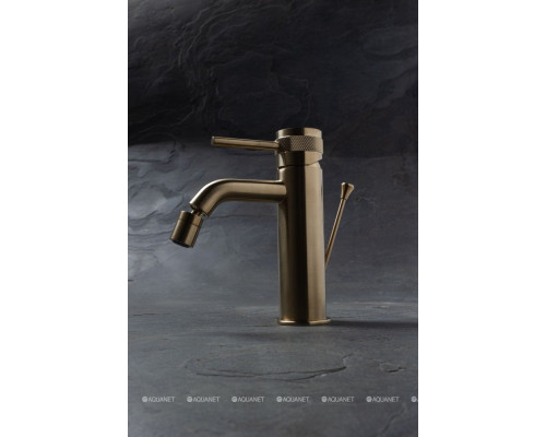 Смеситель для биде Allen Brau Priority 5.31A04-GB (с донным клапаном) золото