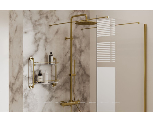 Душевая стойка Allen Brau Fantasy 5.11001-GB золото