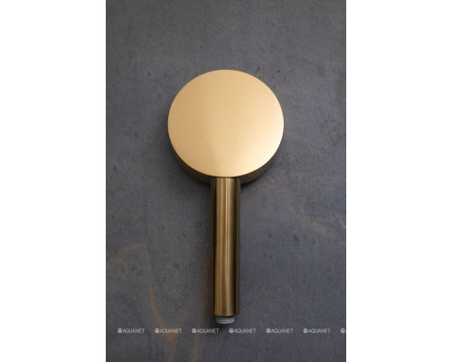 Душевая лейка Allen Brau Priority 5.31B20-GB золото