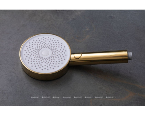 Душевая лейка Allen Brau Priority 5.31B20-GB золото