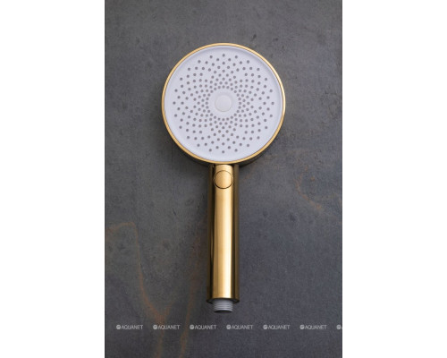 Душевая лейка Allen Brau Priority 5.31B20-GB золото