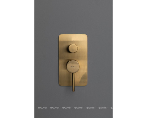 Смеситель для ванны Allen Brau Priority 5.31011-GB (с внутренней частью, 2 выхода) золото