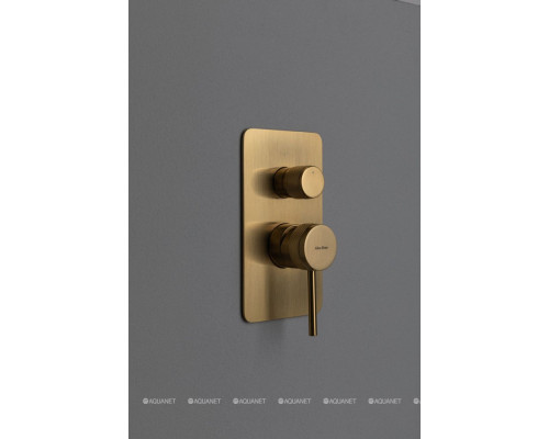 Смеситель для ванны Allen Brau Priority 5.31011-GB (с внутренней частью, 2 выхода) золото