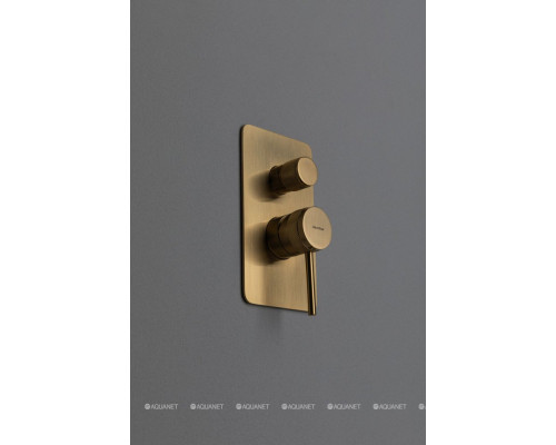 Смеситель для ванны Allen Brau Priority 5.31011-GB (с внутренней частью, 2 выхода) золото