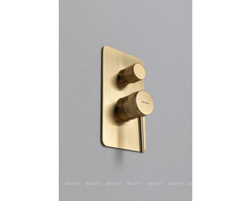 Смеситель для ванны Allen Brau Priority 5.31A11-GB (с внутренней частью, 3 выхода) золото