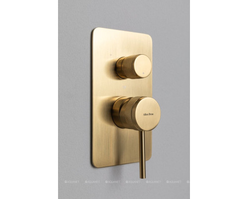 Смеситель для ванны Allen Brau Priority 5.31A11-GB (с внутренней частью, 3 выхода) золото