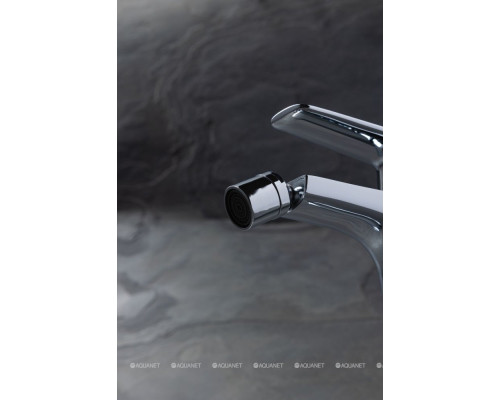 Смеситель для биде Allen Brau Eclipse 2.0 5.E1A10-00 хром