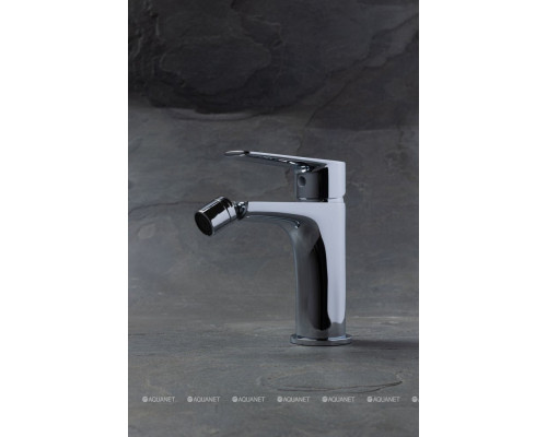 Смеситель для биде Allen Brau Eclipse 2.0 5.E1A10-00 хром