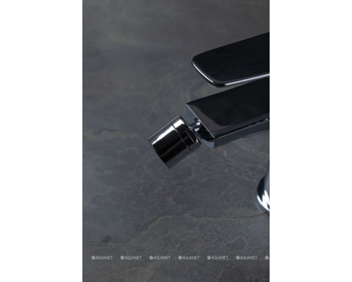 Смеситель для биде Allen Brau Eclipse 2.0 5.E1A10-00 хром