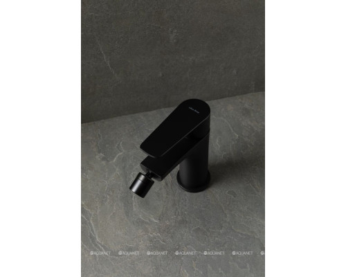 Смеситель для биде Allen Brau Eclipse 2.0 5.E1A10-31 черный матовый