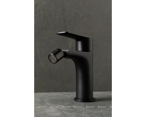 Смеситель для биде Allen Brau Eclipse 2.0 5.E1A10-31 черный матовый