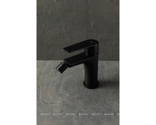 Смеситель для биде Allen Brau Eclipse 2.0 5.E1A10-31 черный матовый