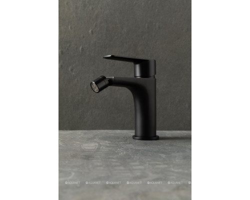 Смеситель для биде Allen Brau Eclipse 2.0 5.E1A10-31 черный матовый