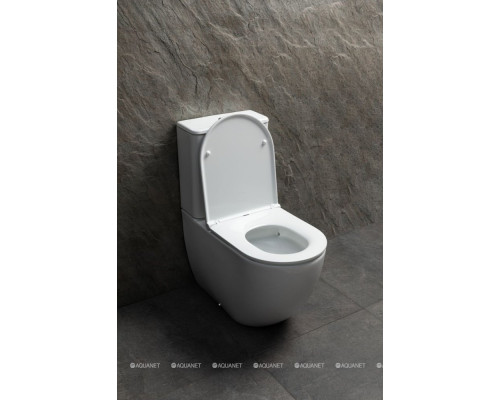 Унитаз-компакт Allen Brau Priority Tornado 4.31006.20 белый глянец