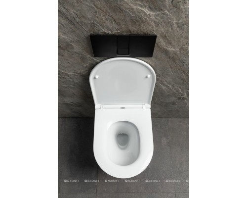 Чаша подвесного унитаза Allen Brau Priority Tornado 4.31008.20 белый глянец