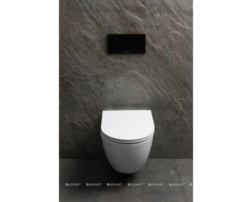 Чаша подвесного унитаза Allen Brau Priority Tornado 4.31008.20 белый глянец