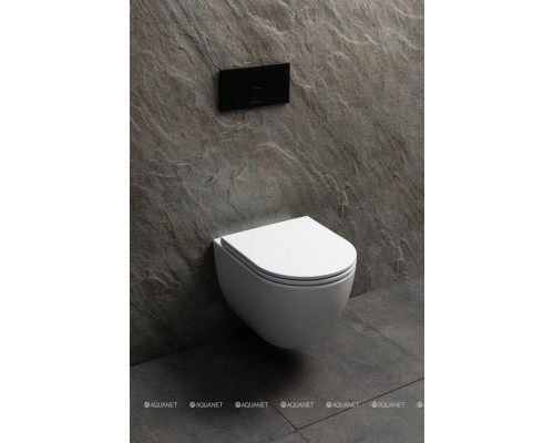 Чаша подвесного унитаза Allen Brau Priority Tornado 4.31008.20 белый глянец